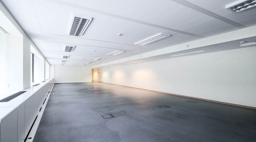 ROYALE 180 - Garden + ground floor