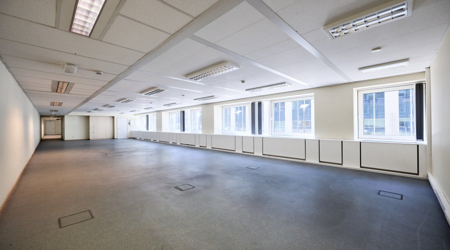 ROYALE 180 - Garden + ground floor