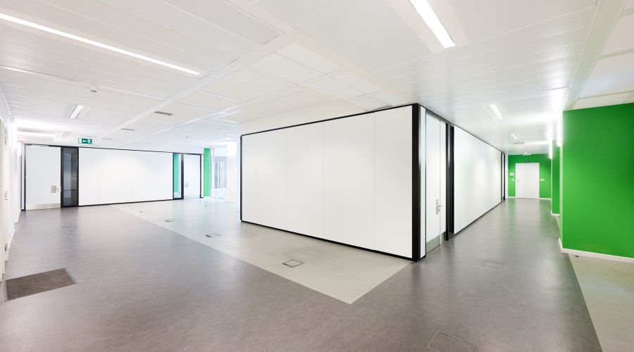 ROYALE 180 - Garden + ground floor