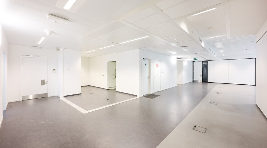 ROYALE 180 - Garden + ground floor