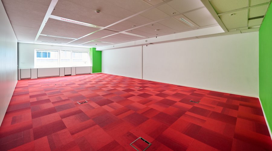 ROYALE 180 - Garden + ground floor