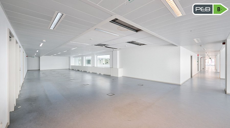 ROYALE 180 - 1st floor