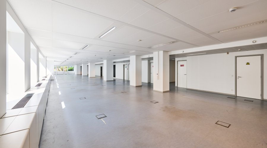 ROYALE 180 - 1st + 2nd floor